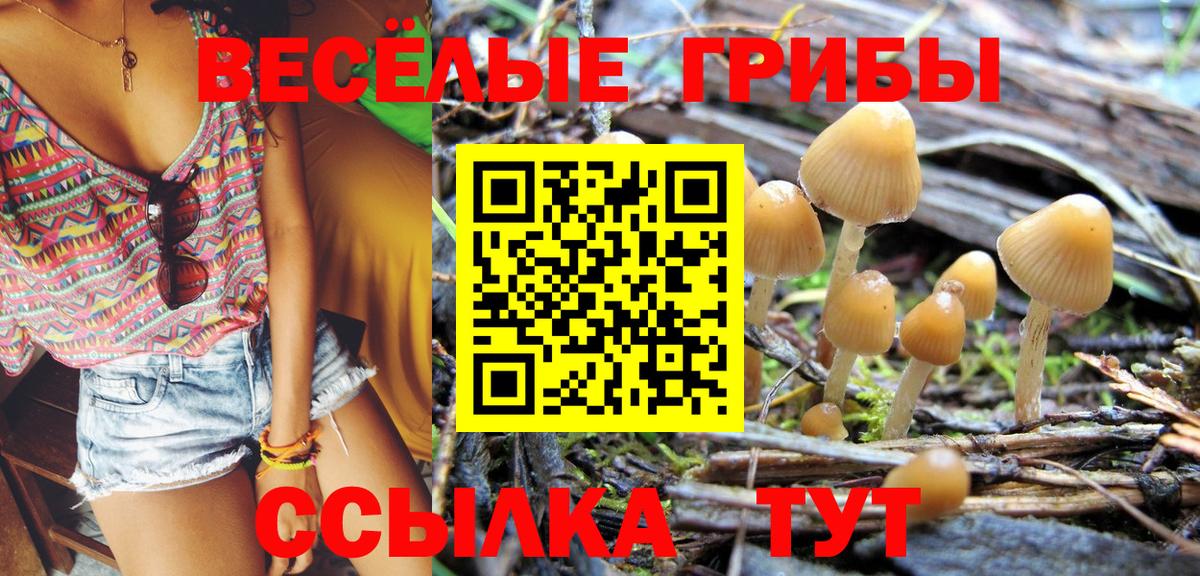 Борисоглебск  Галлюциногенные грибы Cubensis  Вход с VPN 